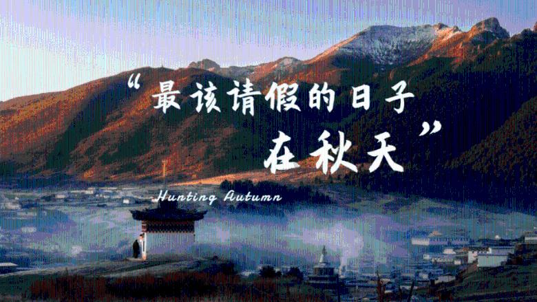 逗小猴开心系列205